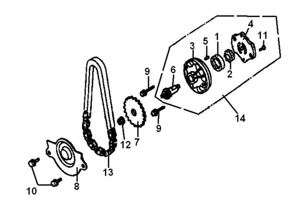 BODY OIL PUMP