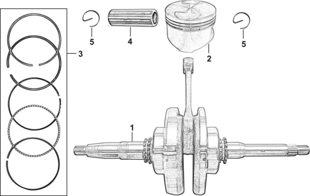 Arbore cotit COMP